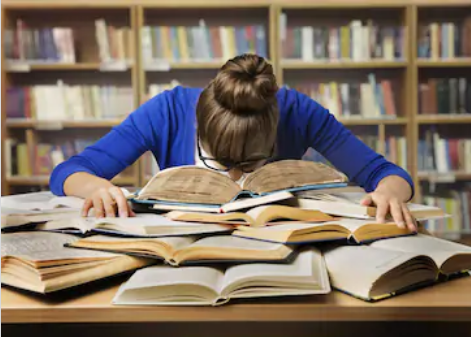 Estudar Vale a Pena?