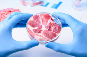 Carne-feita-em-laboratório